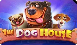 FezBet offre il gioco online The Dog House